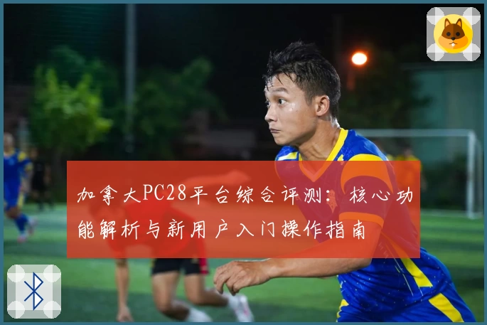 加拿大PC28平台综合评测：核心功能解析与新用户入门操作指南